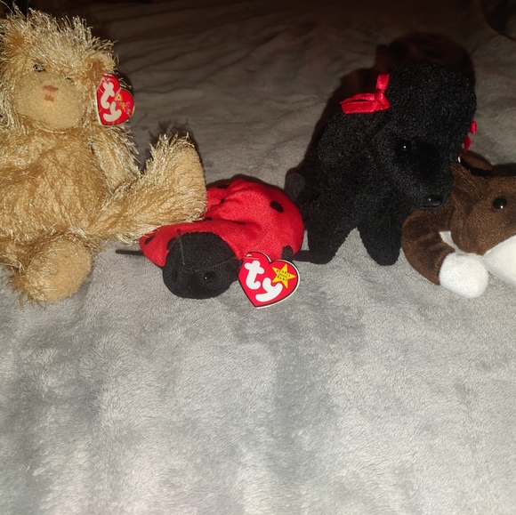 Ty Beanie Babies - Picture 4 of 16